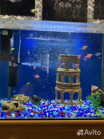 Аквариум с тумбой