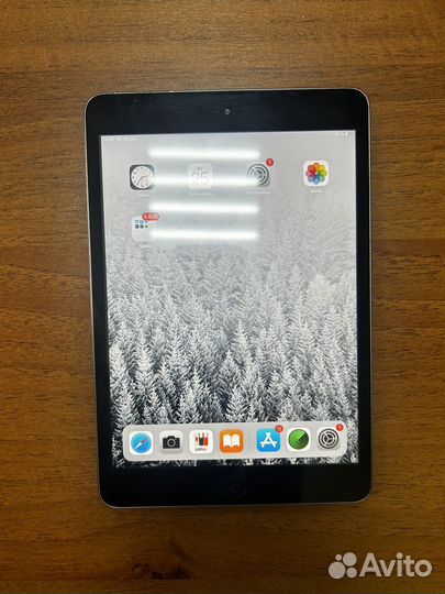 iPad mini (2) Wi-Fi 16GB Space Gray