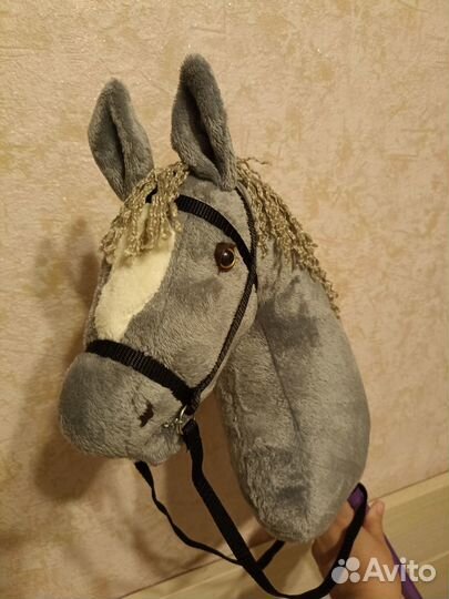 Конь на палочке, хобби хорс