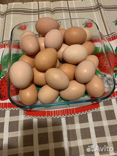 Домашние куриные яйца