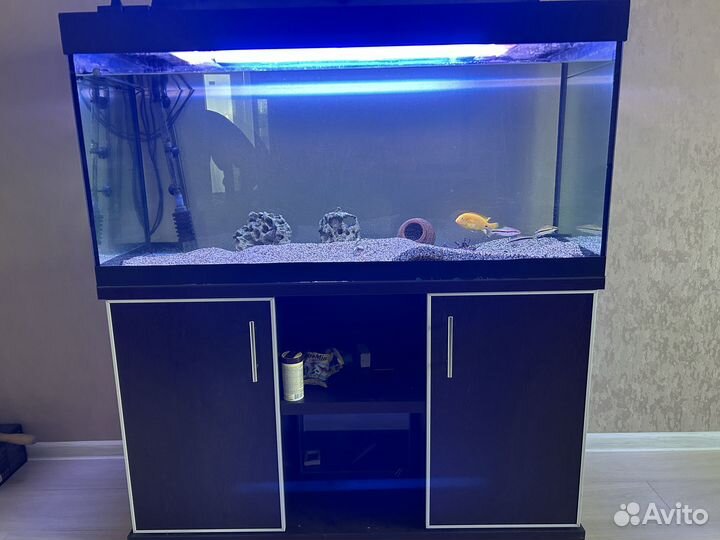 Аквариум 320л