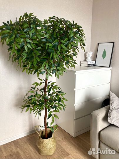 Искусственные цветы и деревья