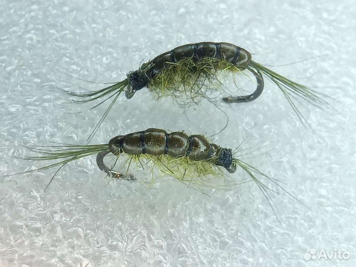 Сибирская мушка ручейник тёмнозелёный