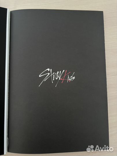 Stray kids альбом