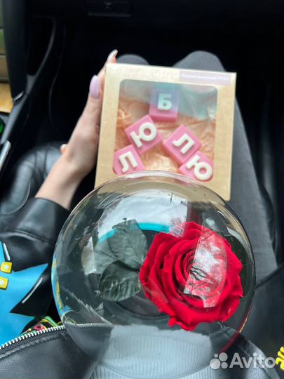 Роза в колбе. Цветы. Доставка