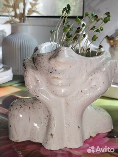 Оригинальные кашпо для микрозелени из гипса