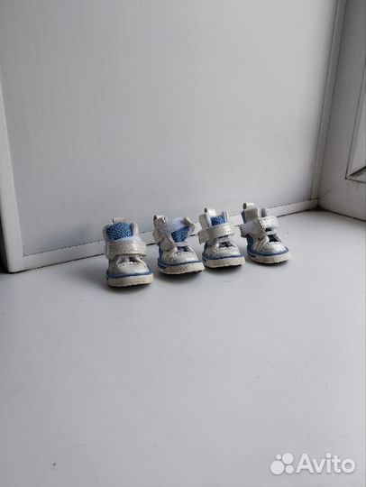 Ботинки для собак