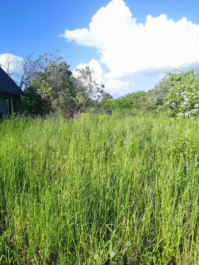 Участок 4 сот. (ИЖС)