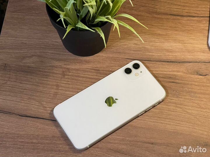 iPhone 11, 256 ГБ
