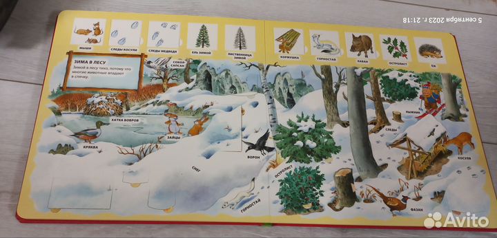 Книги с окошками Тони Вульф и Умка