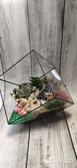 Флорариум, подарок, цветы