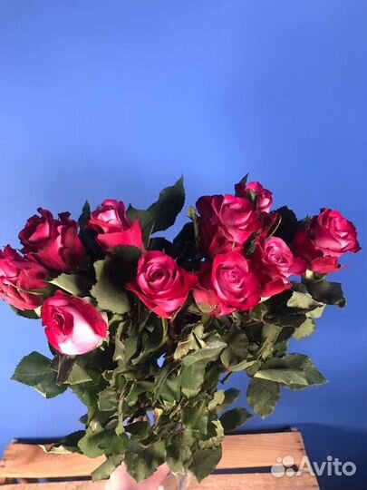 Цветы оптом розы