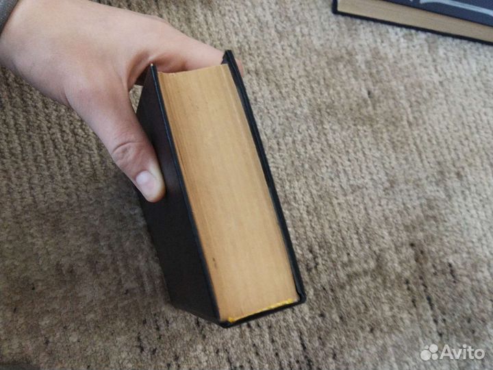 Книга Конь Рыжий