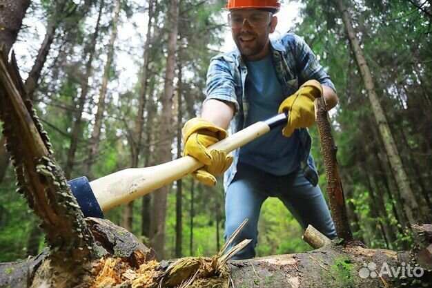 Уборка дачных участков выкорчевка деревьев