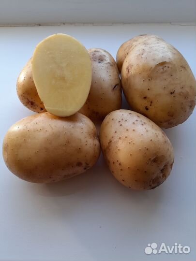 Продам картофель