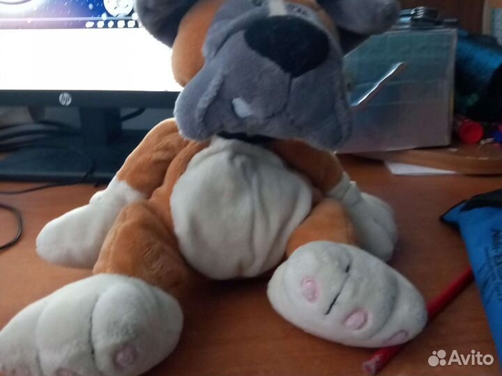 Собака моргенштерна