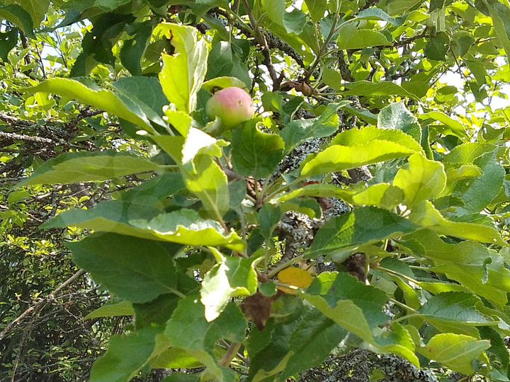 Дом 80 м² на участке 6 сот.