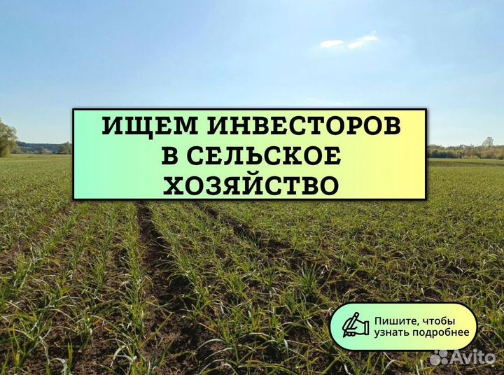 Прибыльный бизнес гарантированный доход