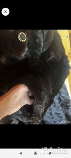 Шуба норковая 48 50