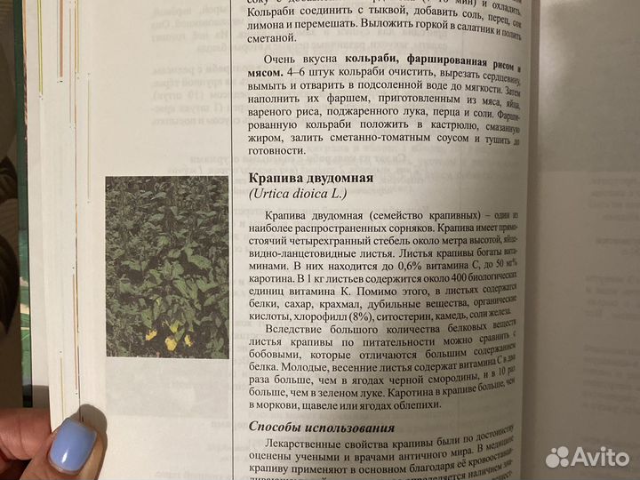 Энциклопедия пищевых растений Н.В. Остапенко