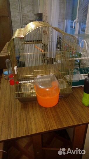 Клетка для грызунов для попугая