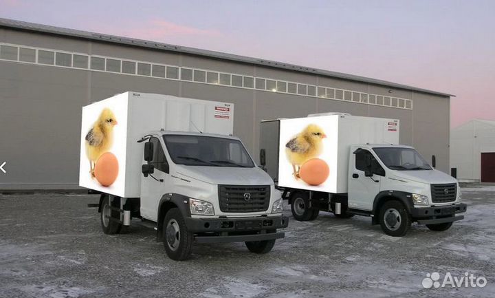 Цыплятовозы - Разработка, проектирование (завод