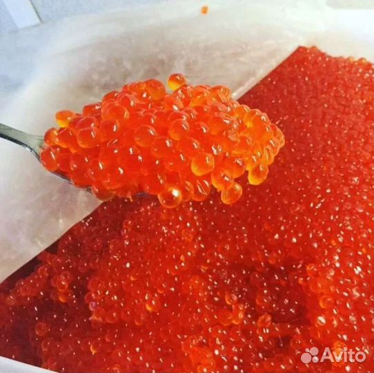 Красная икра горбуши
