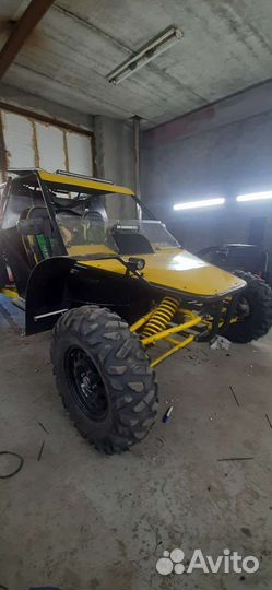 Багги беркут