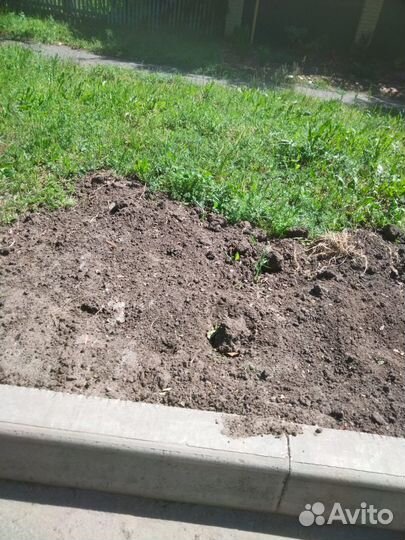 Навоз коровий,верх слой чернозем камаз,газ,ЗИЛ 5т