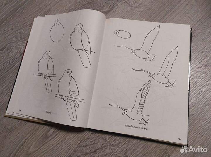 Книга пошагового рисования