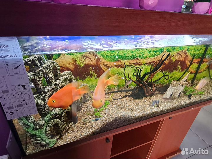 Аквариум с тумбой