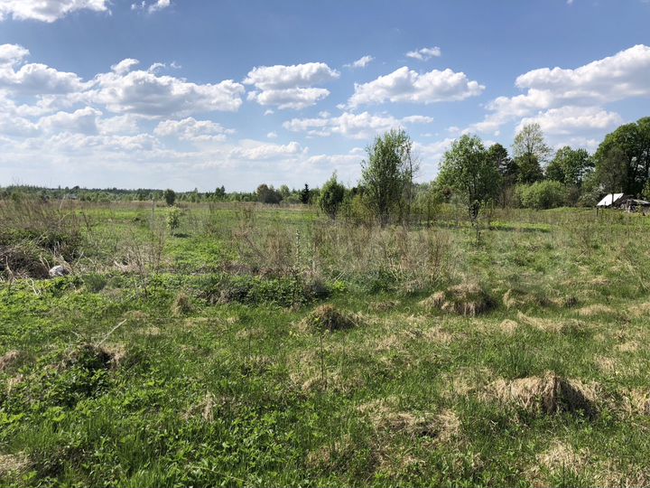 Участок 35 сот. (ИЖС)