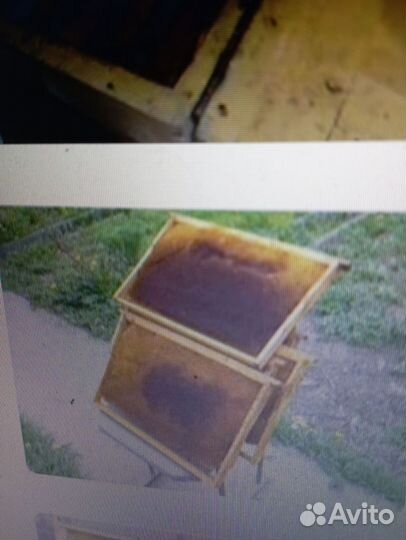 Рамки с сушью