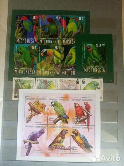 Альбом с марками (птицы) 2