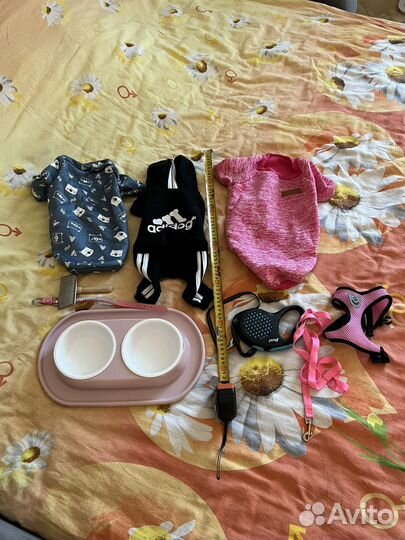 Вещи для маленьких собак