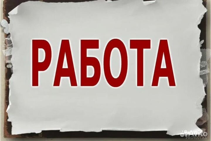 Дворник 5/2