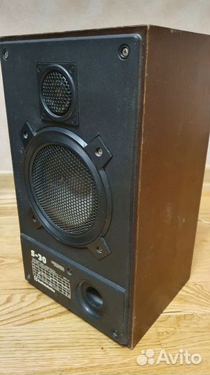 Колонка Радиотехника s30