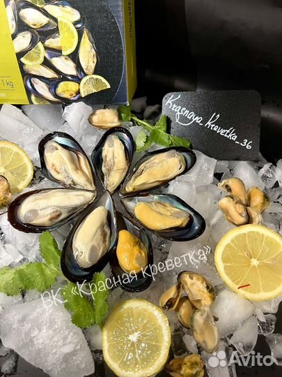 Мидии премиум