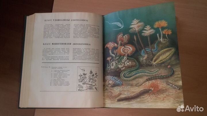 Книги Жизнь животных. 7 томов. 1968 г