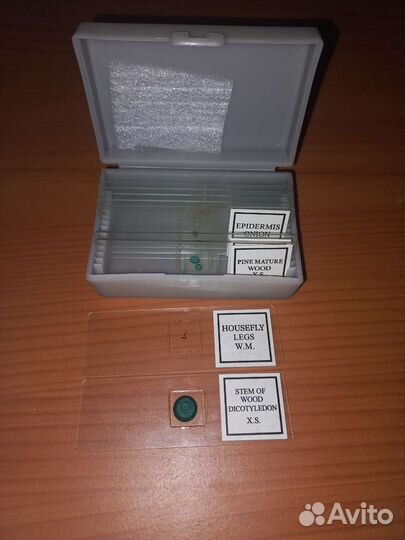 Микроскоп levenhuk rainbow 2l