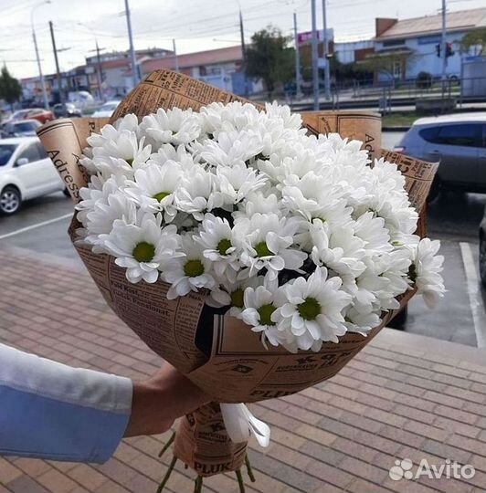 Хризантема Доставка цветов Букеты