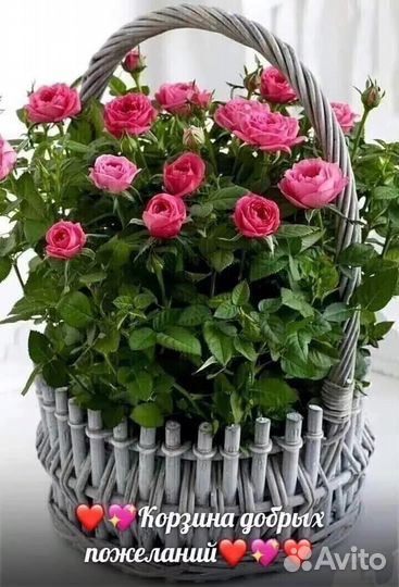 Роза в колбе