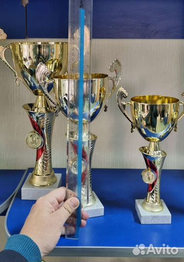 Медали, кубки, спортивные награды