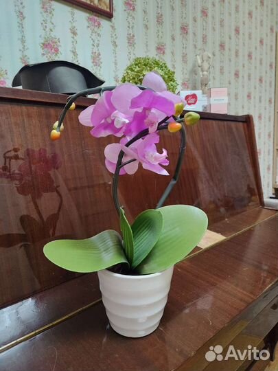 Орхидея ночник светильник