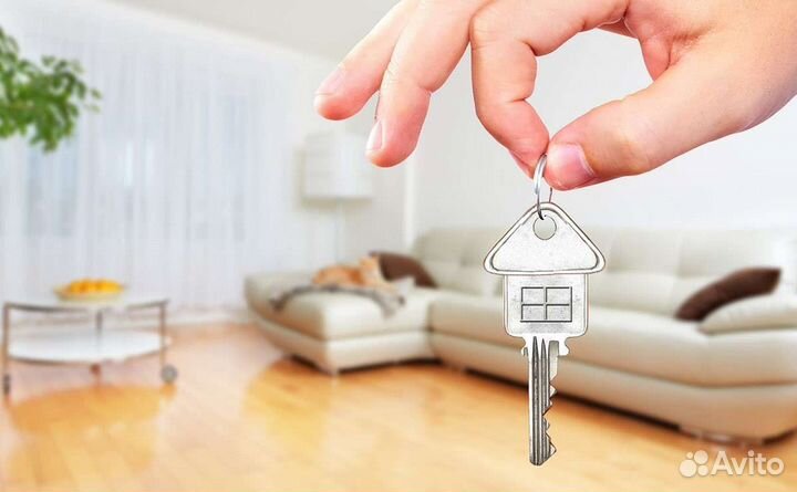 Риэлтор по аренде жилья