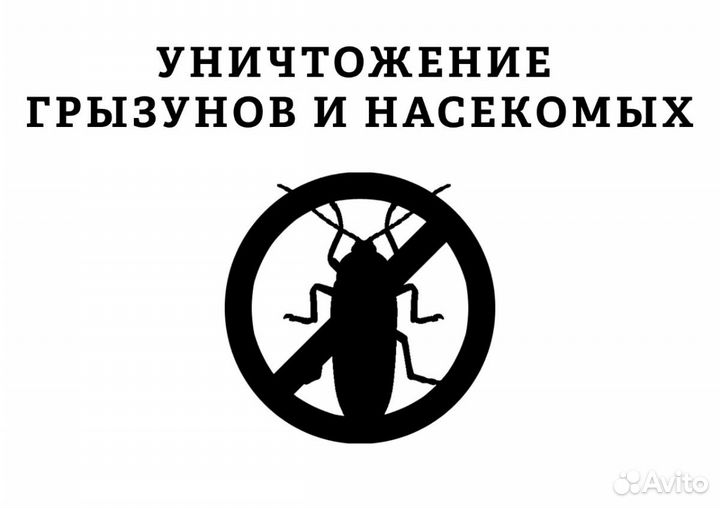 Уничтожение клопов