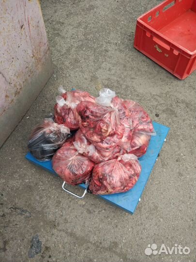 Рубец говяжий,натуральные корма,фарш супр. говяжий