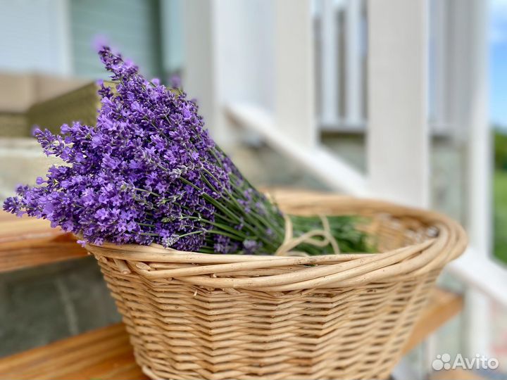 Лаванда в букете и саше