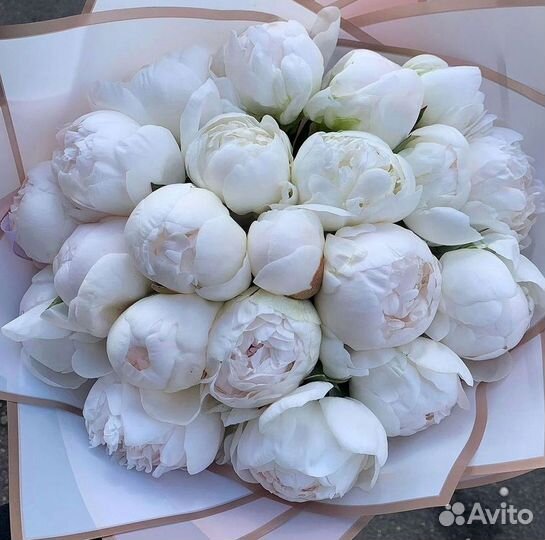Пионы Букет пионов