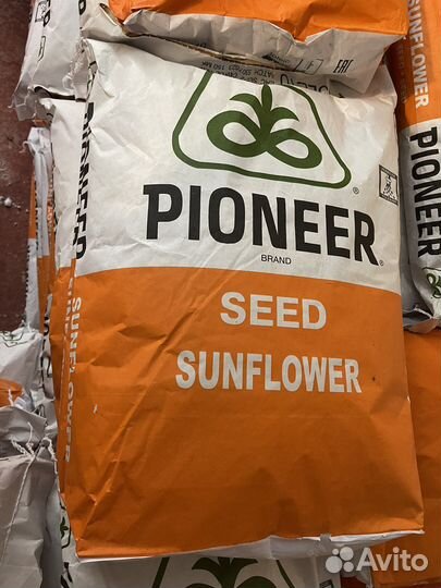 Семена подсолнечника Пионер п63ле10